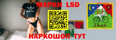 ешки Будённовск