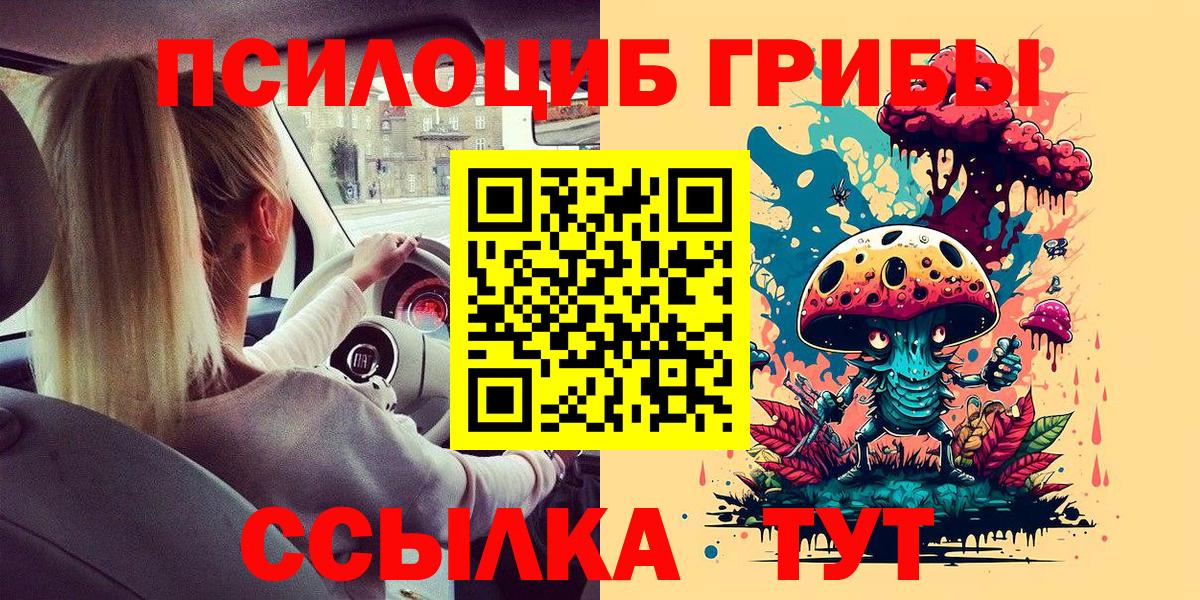 Галлюциногенные грибы Cubensis  Вход с VPN  Одинцово 