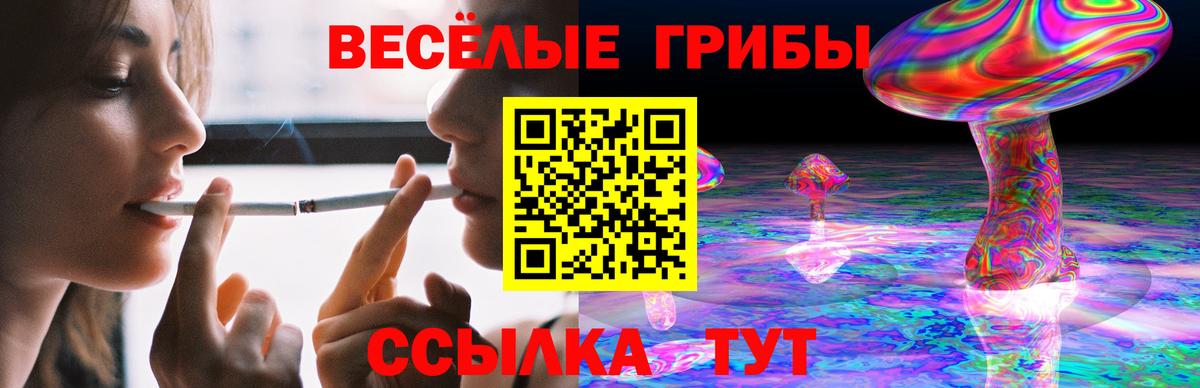 Псилоцибиновые грибы мухоморы Одинцово